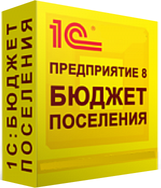 1С:Бюджет поселения 8